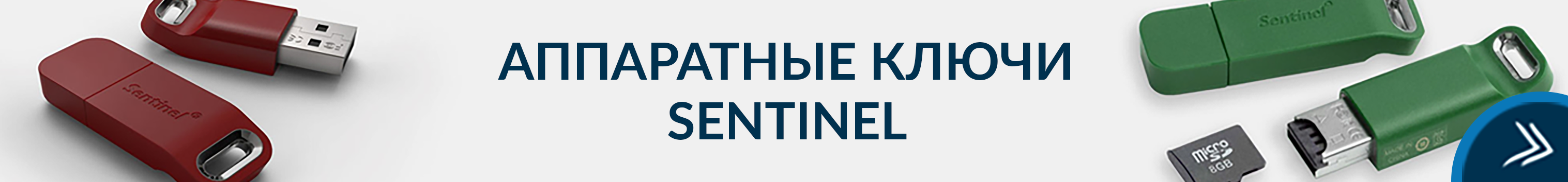 Аппаратные ключи Sentinel